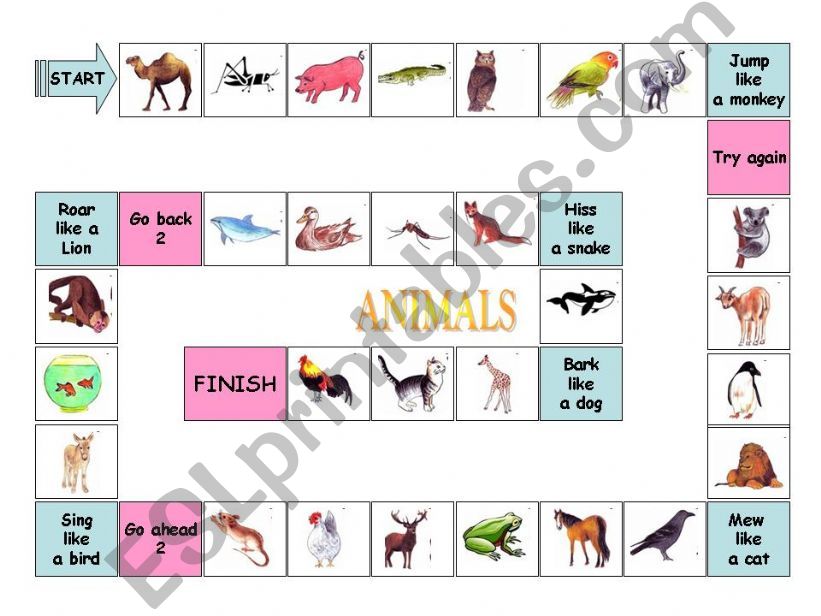 animals powerpoint