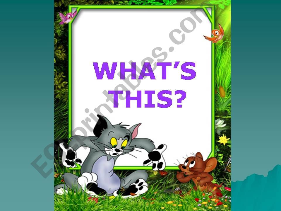Whats this? Pets game powerpoint