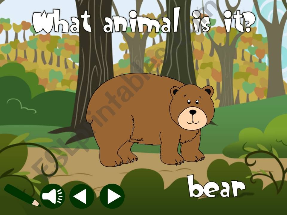 Wild animals - vocabulary *with sound*
