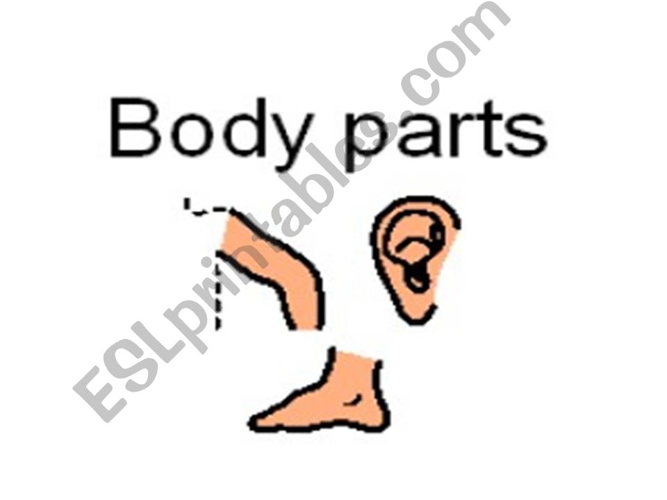 Body  powerpoint