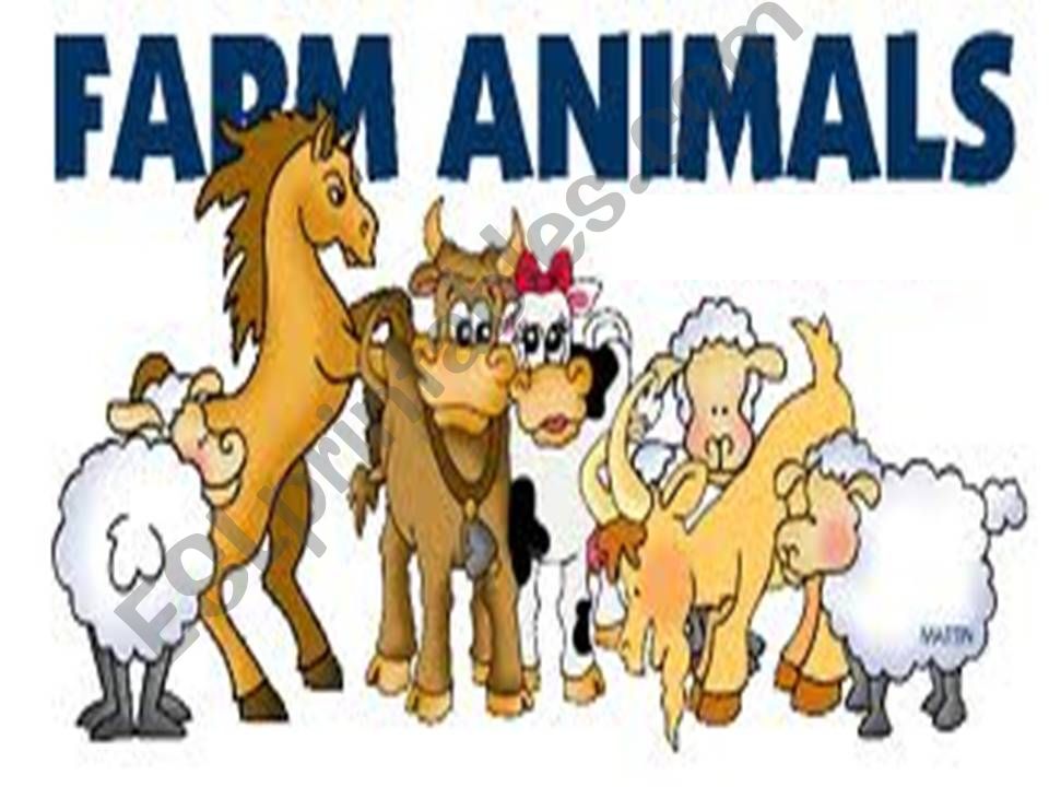 farm animals powerpoint