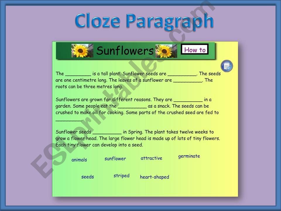english strategies powerpoint
