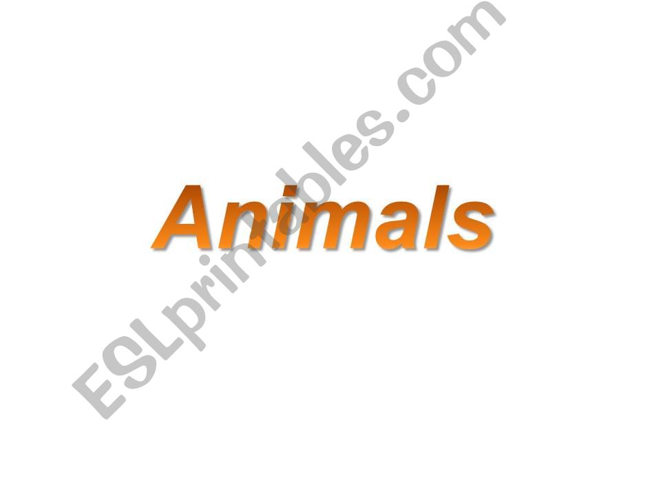 Animals powerpoint