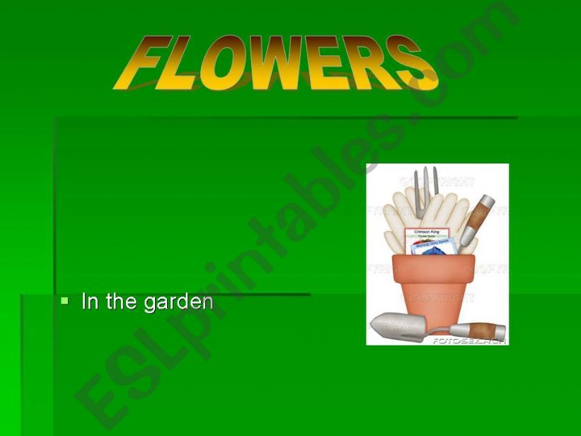 Flowers in the garden powerpoint