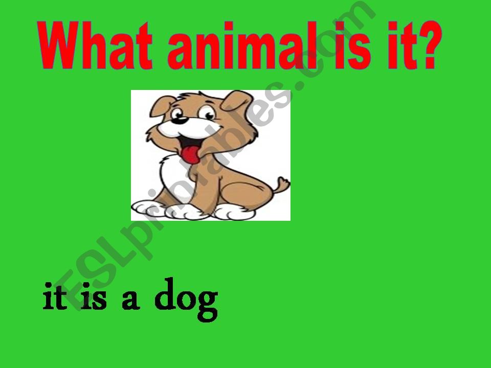 Animals powerpoint