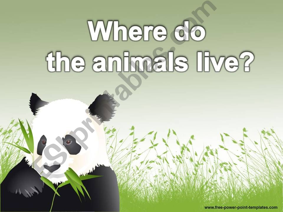 Where Do The Animals Live? powerpoint