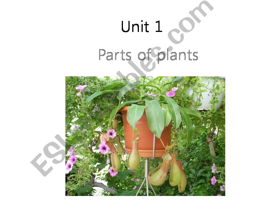 Parts of plants PPT powerpoint