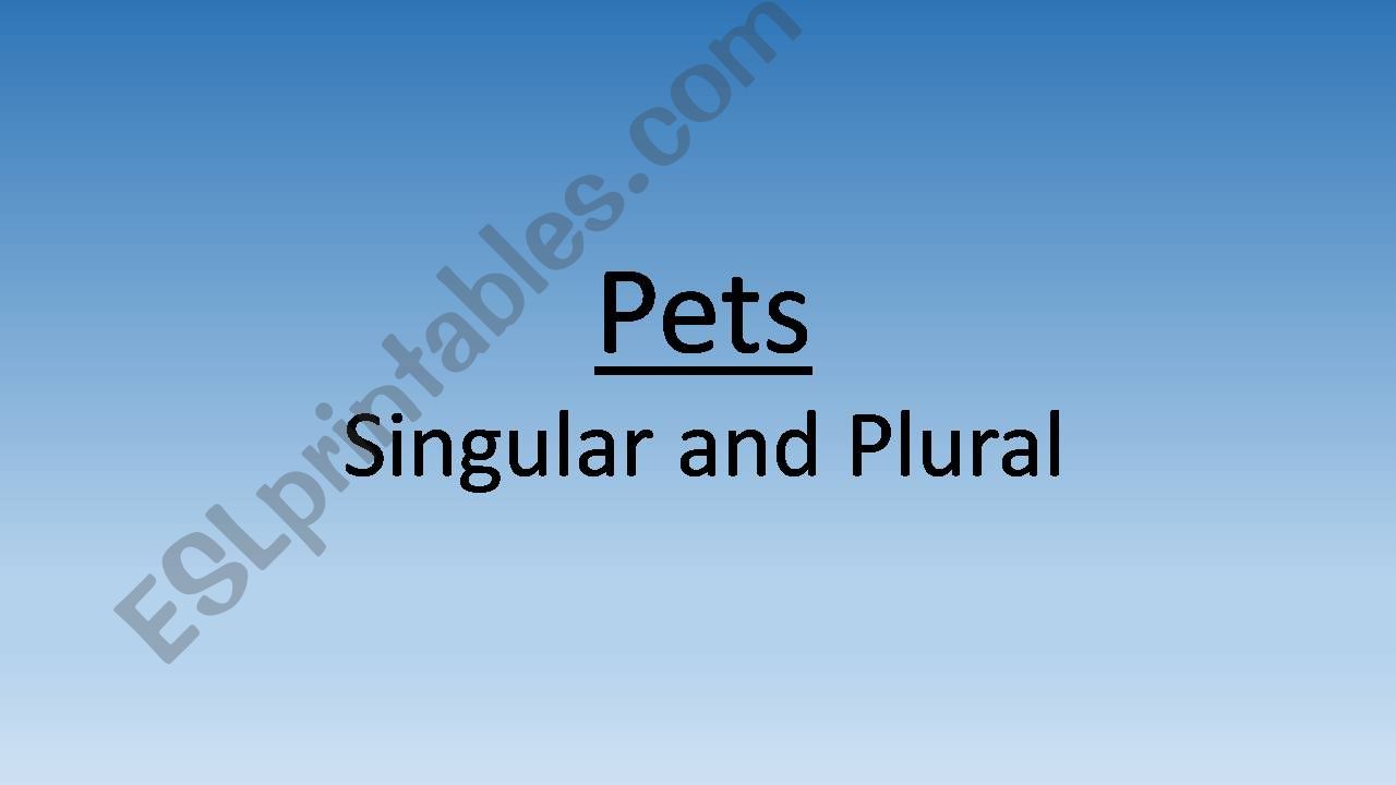 Pets - Singular and Plural (Part 1 of 2)
