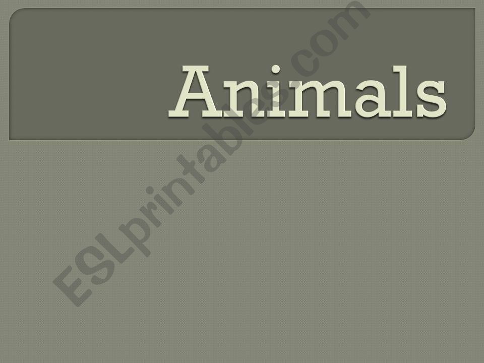 ANIMAL IDIOMS powerpoint