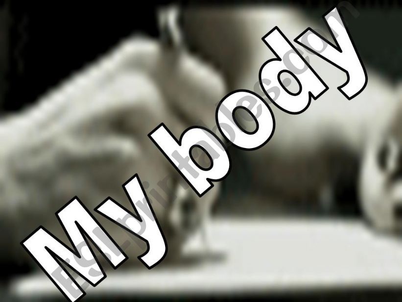 My body powerpoint