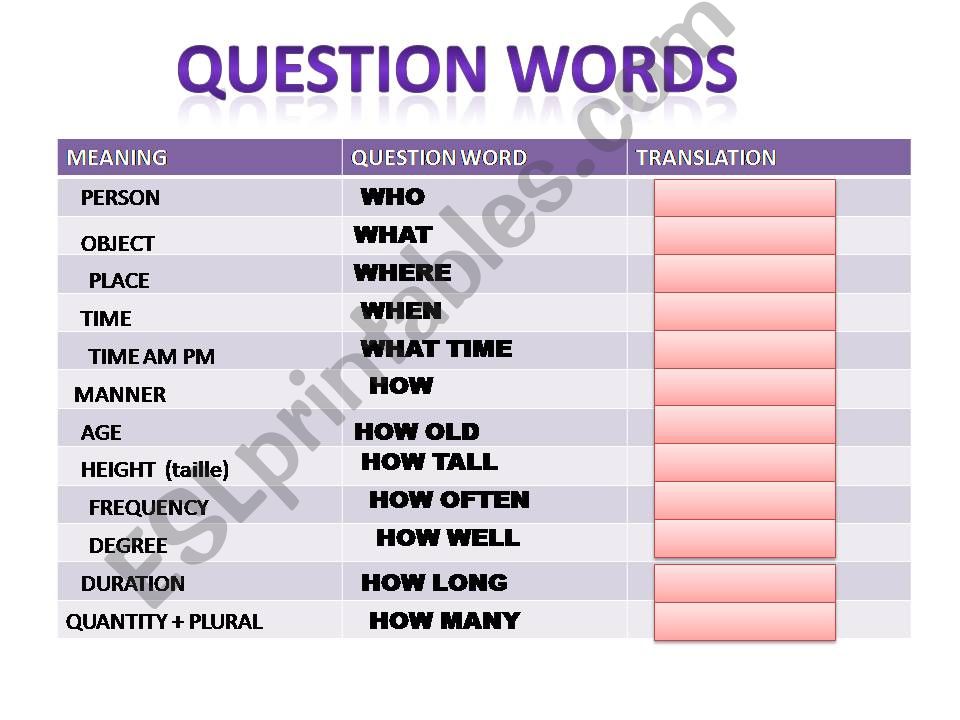 INTERROGATIVE SENTENCES powerpoint