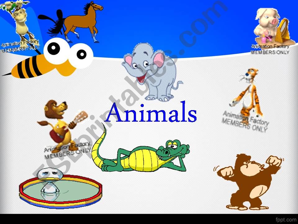 Wild Animal powerpoint