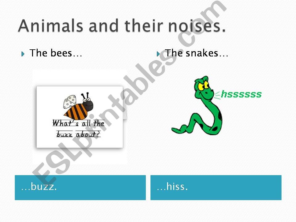 Animals and their noises powerpoint