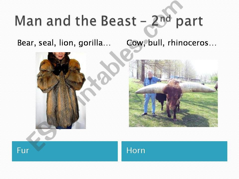 Animals Vocabulary - part 2 powerpoint