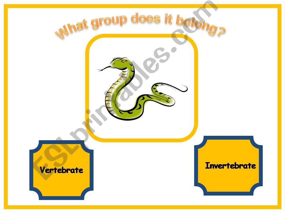 Vertebrate & Invertebrate Quiz 2/2
