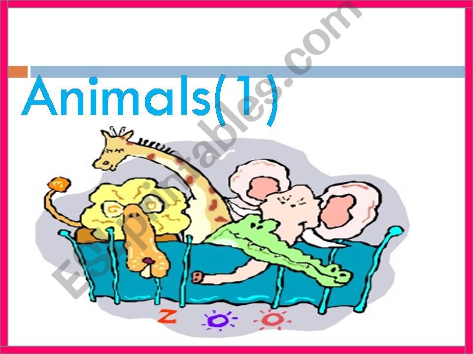 Animals (1) powerpoint