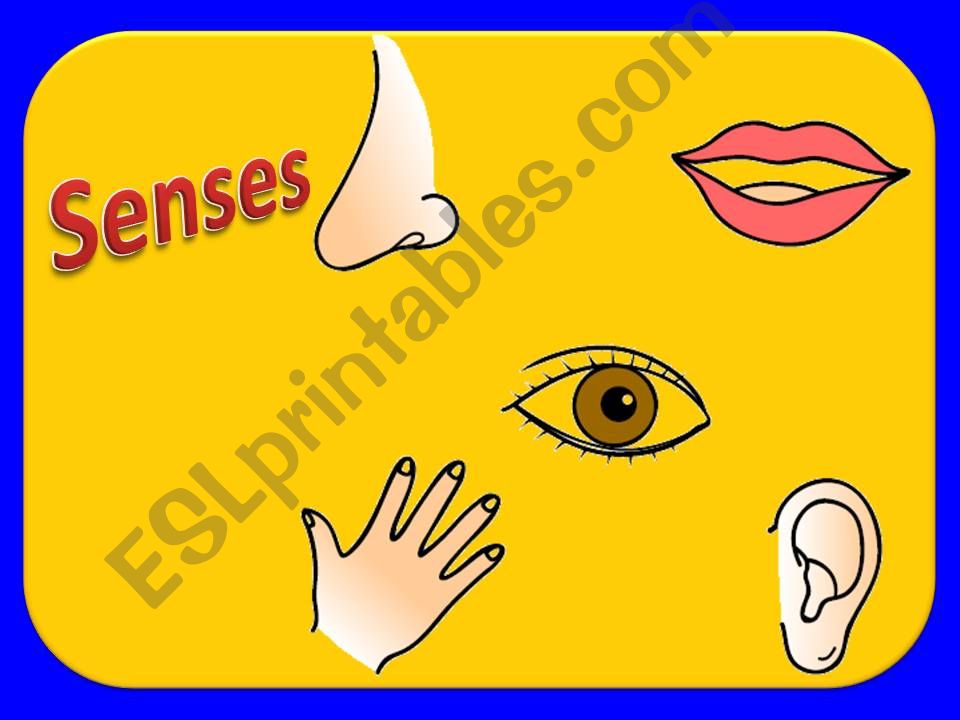 senses powerpoint