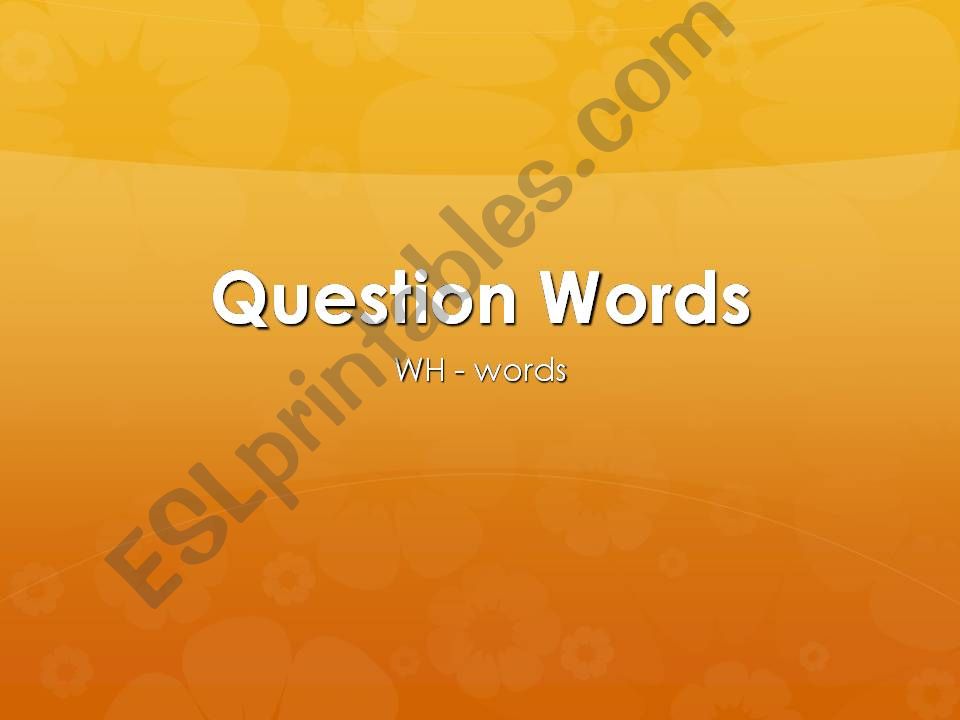 Question Words  powerpoint