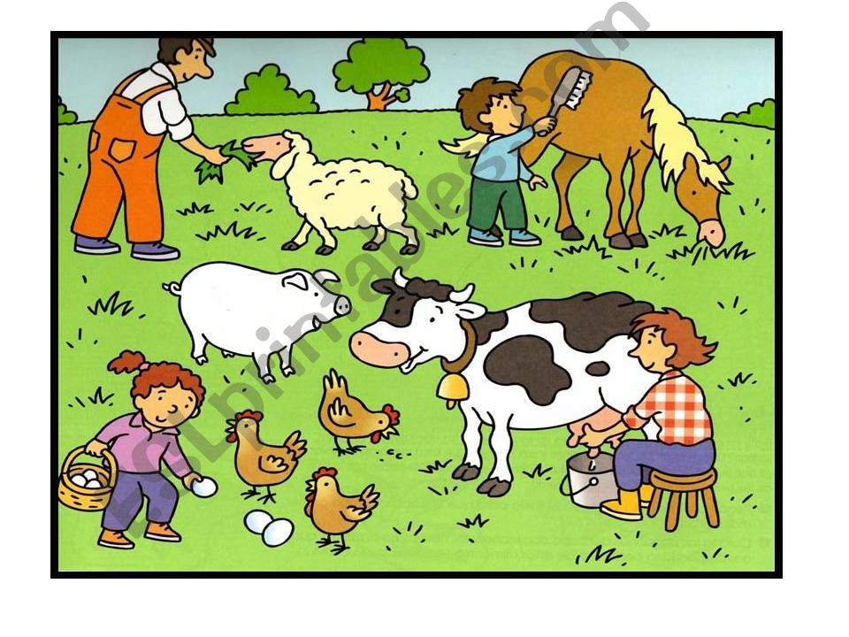 Animals on the farm powerpoint