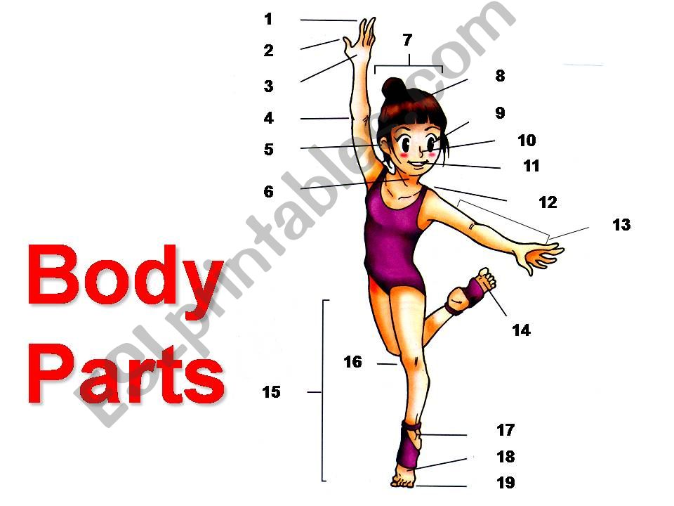 Body Parts and Senses powerpoint