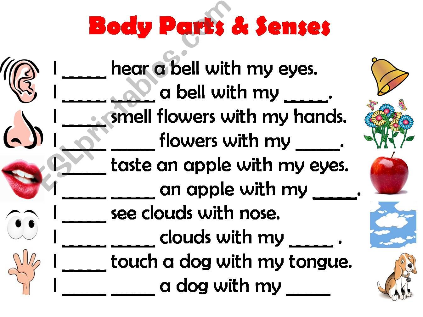 Body Parts and Senses Game powerpoint