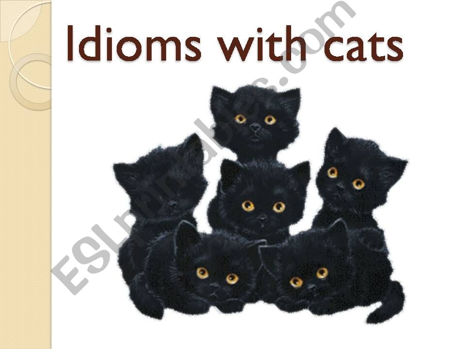 Cat Idioms powerpoint