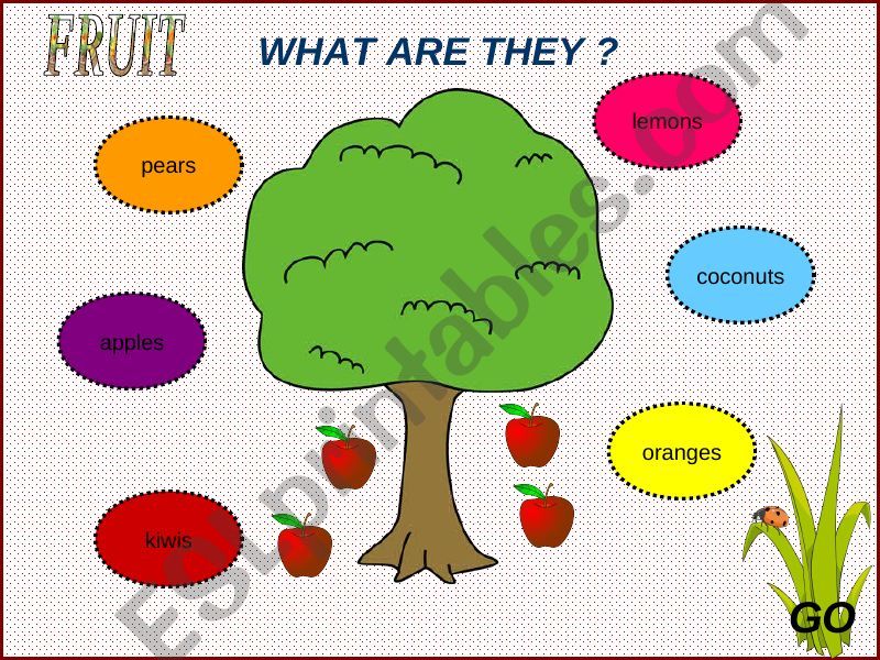 FRUITS GAME 1 powerpoint