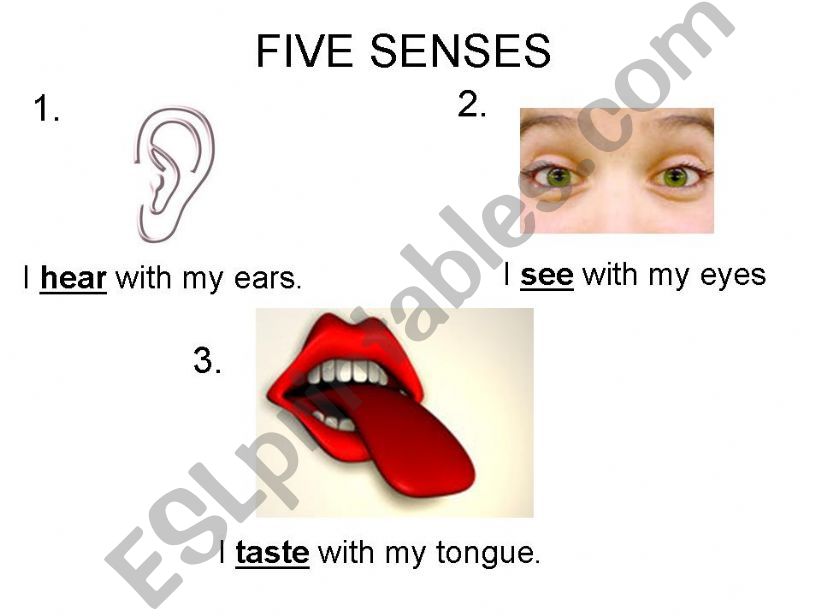 Five Senses powerpoint