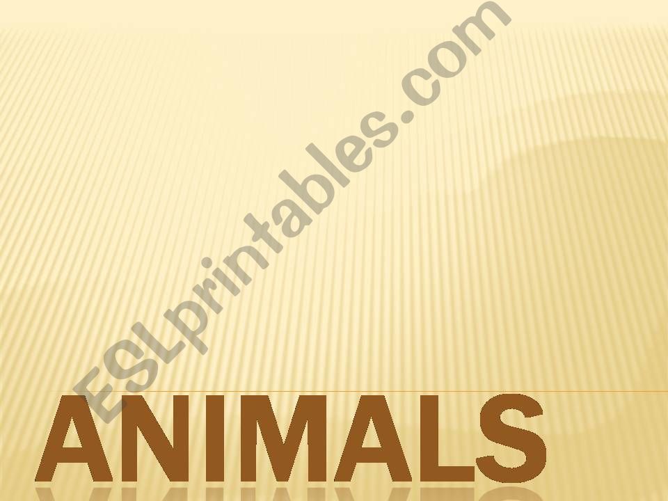 animals powerpoint