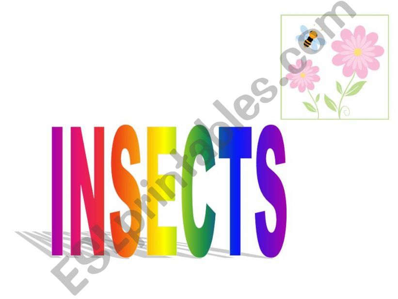 insects powerpoint