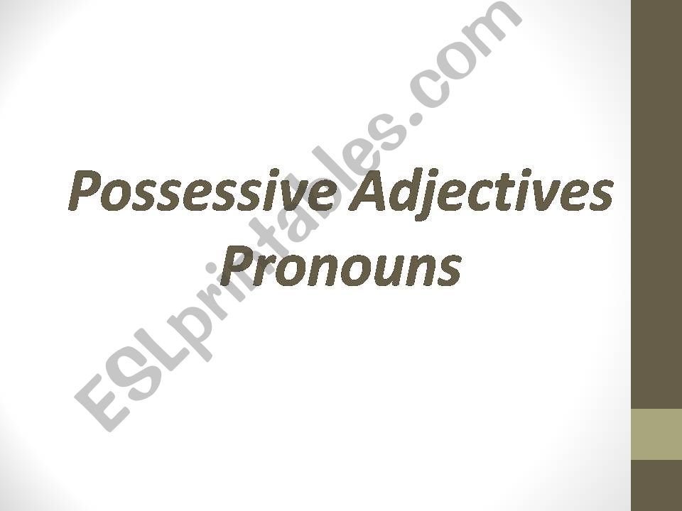 Possessive Adjective powerpoint