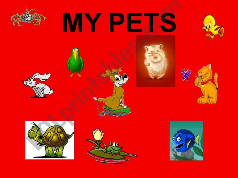 My pets powerpoint