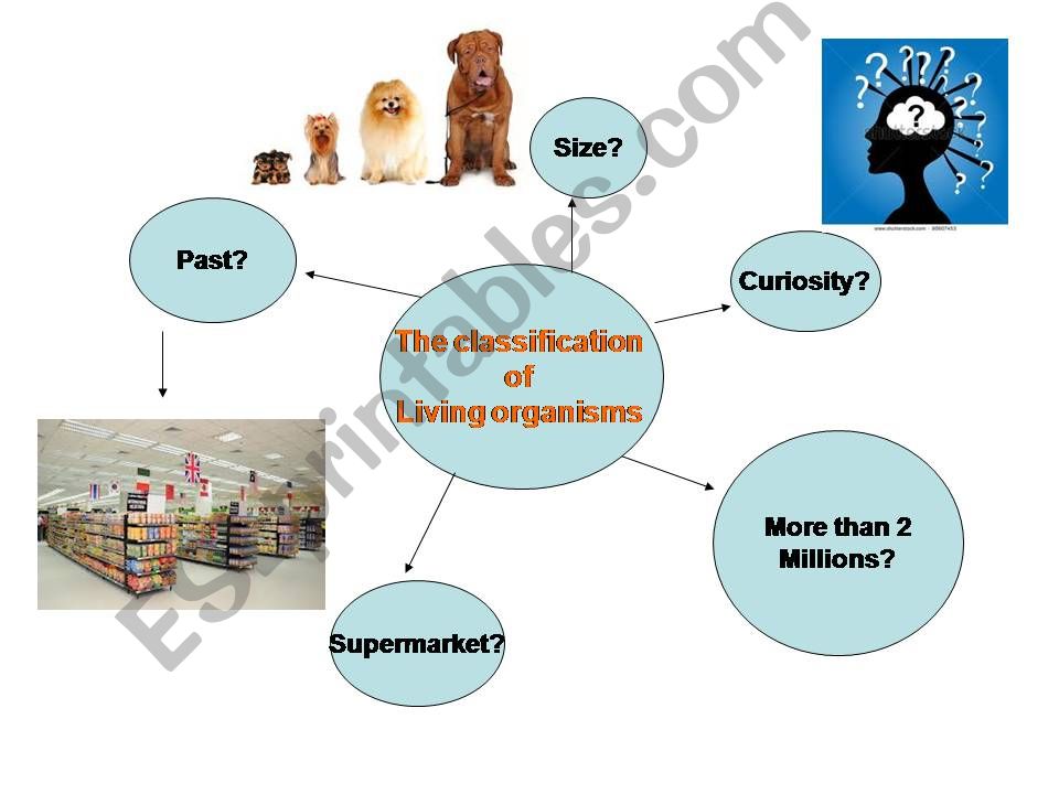 Clasification of living organisms