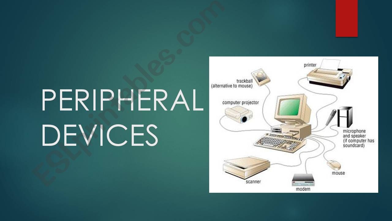 PERIPHERAL DEVICES powerpoint
