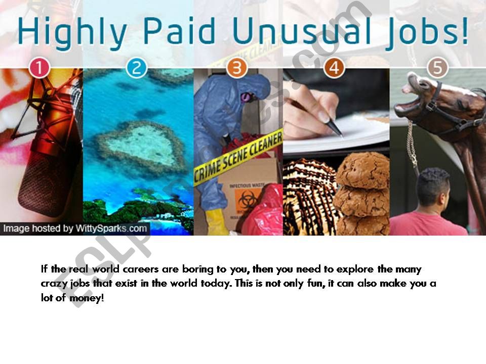 Unusual jobs powerpoint