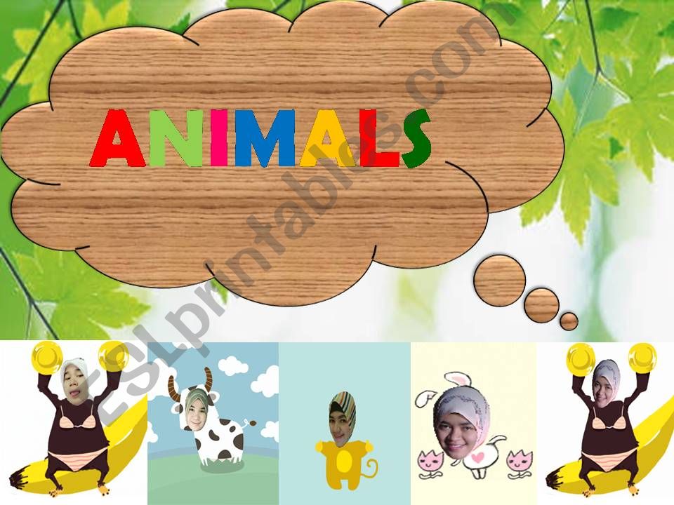 Animals powerpoint