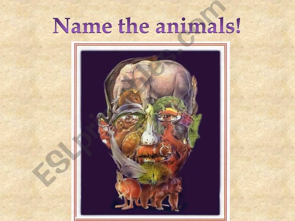 Name as many animals... powerpoint