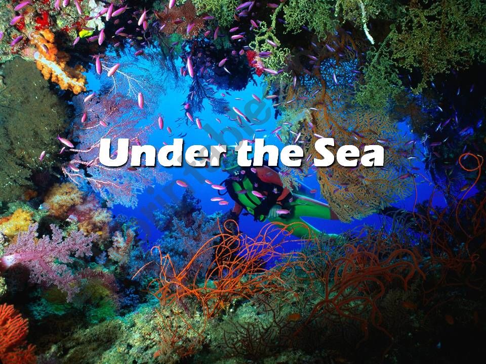 Under the sea powerpoint