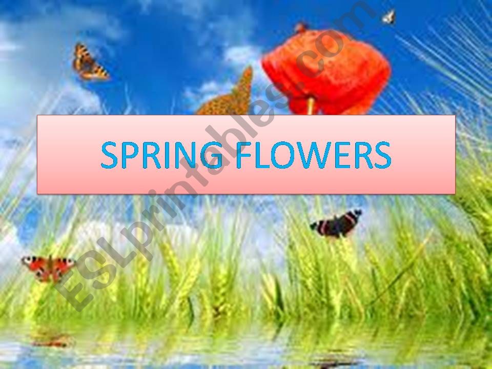 Spring flowers powerpoint