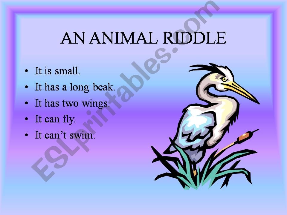 Riddles about animals powerpoint