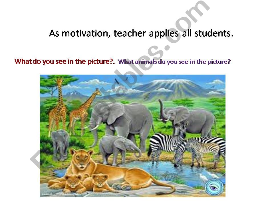 animals powerpoint