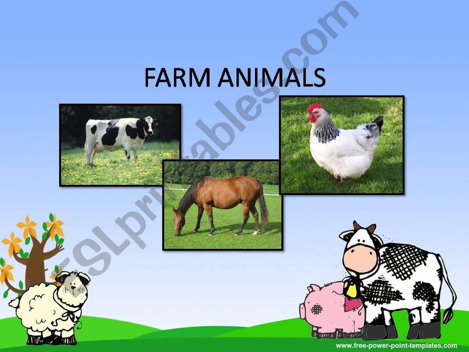 Animal presentation powerpoint