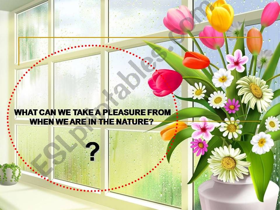 flowers powerpoint