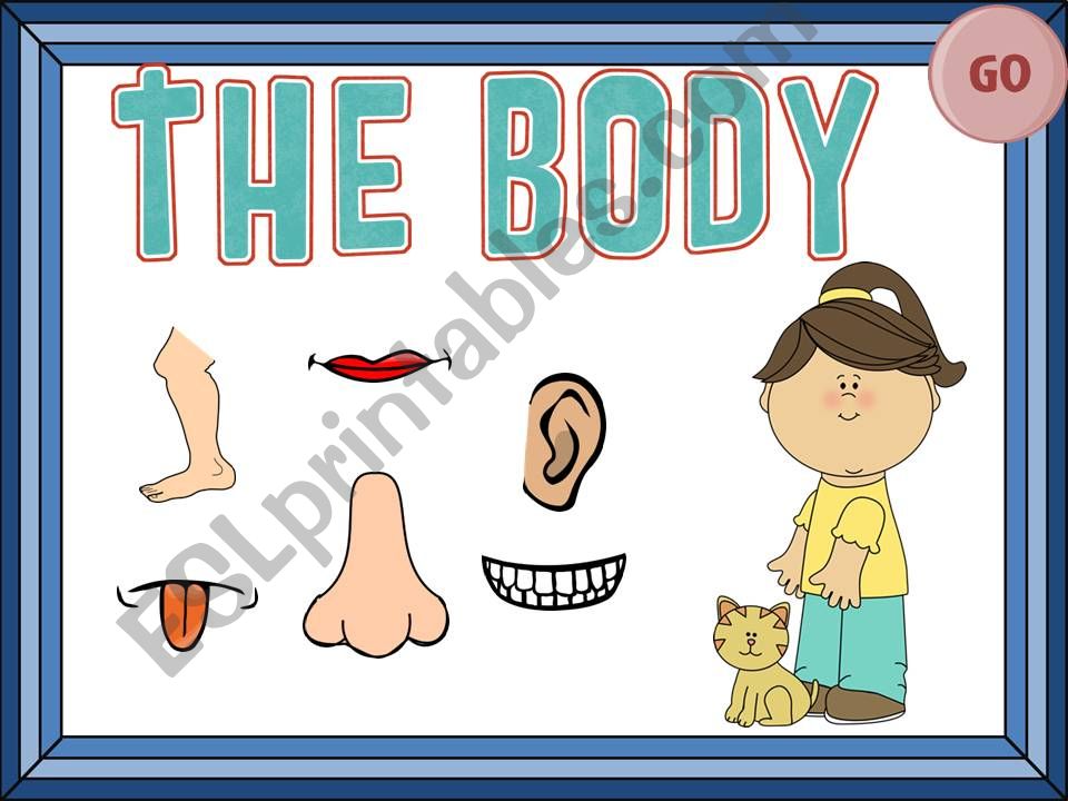 Body powerpoint