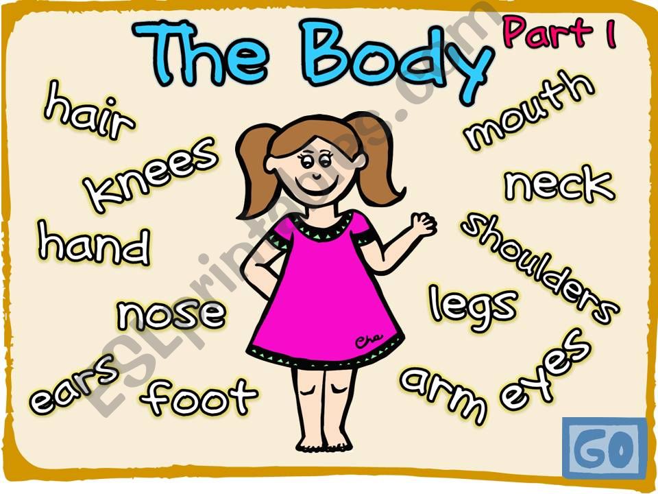 The Body (1-2)  powerpoint