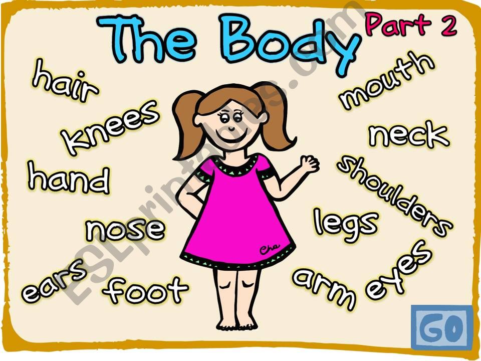 The Body (2-2) powerpoint