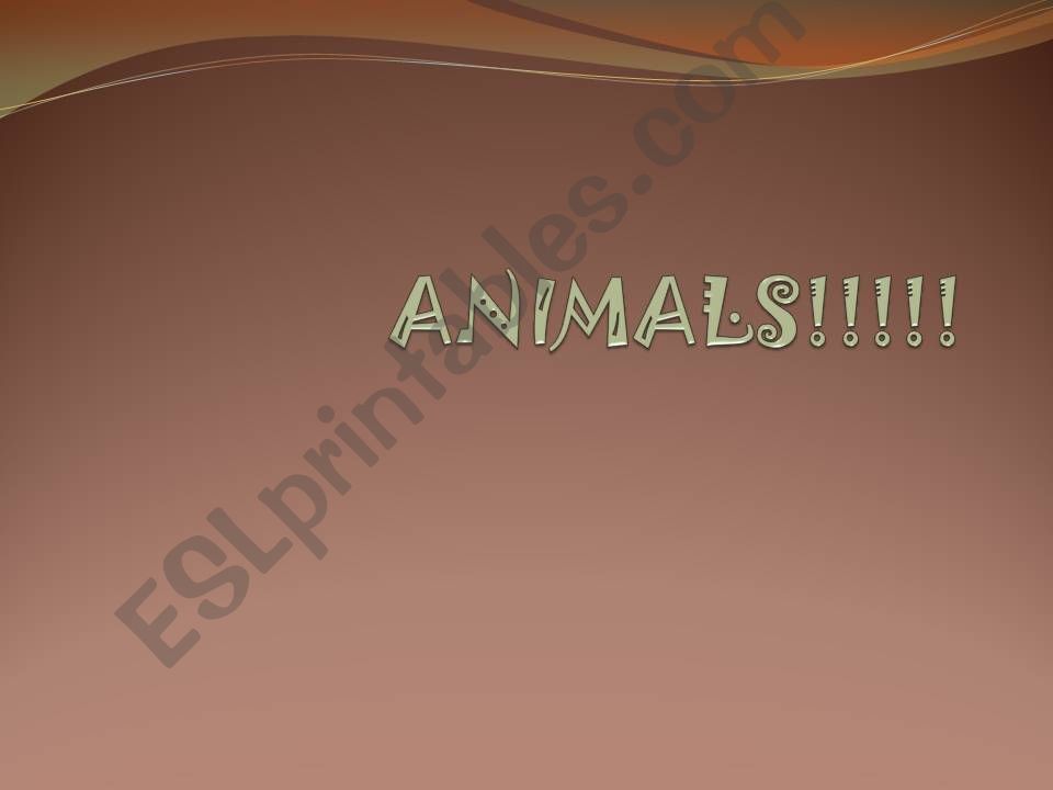 distorted animals powerpoint