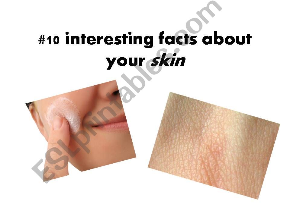 10 interesting facts about your skin