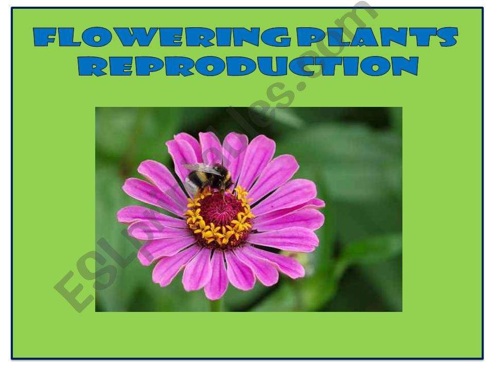 Flowering Plants Reproduction powerpoint