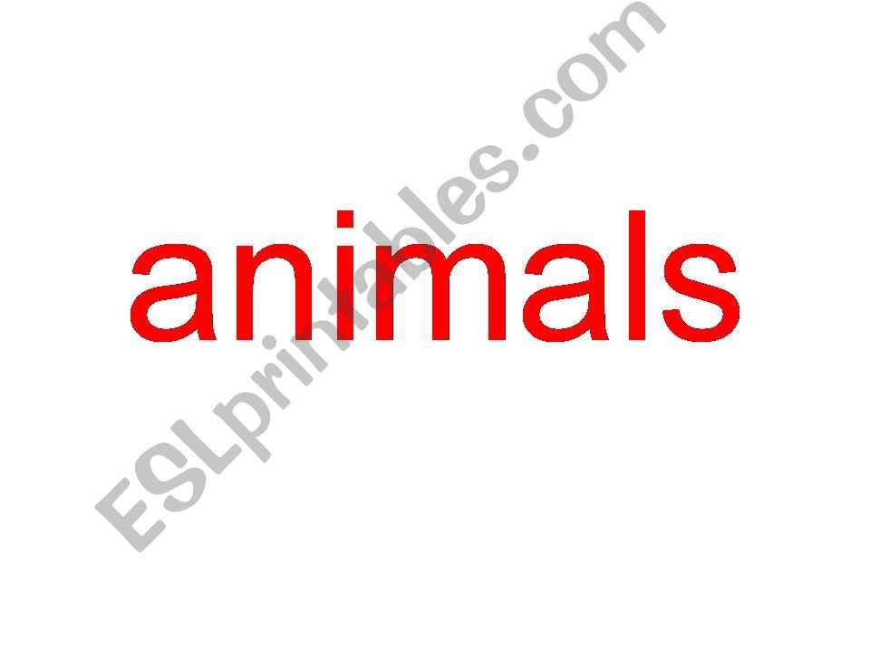 Animals powerpoint